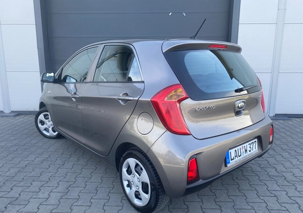 Kia Picanto cena 27950 przebieg: 130800, rok produkcji 2016 z Nowogrodziec małe 667